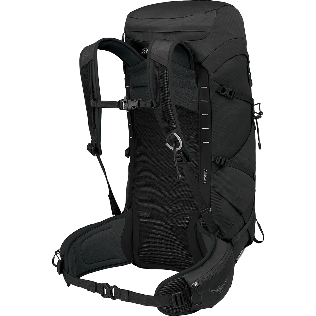 Talon 33